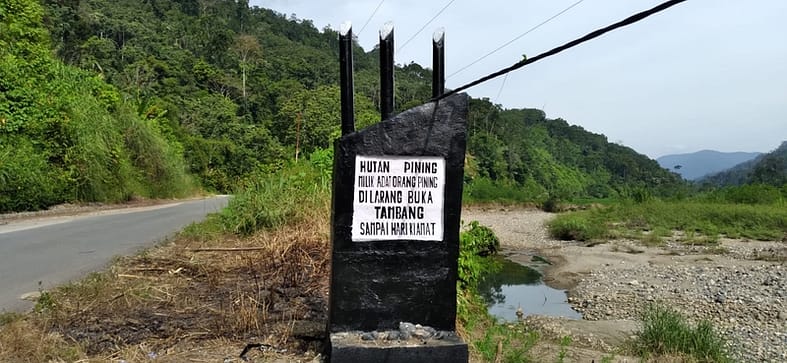 Save Hutan Pining
